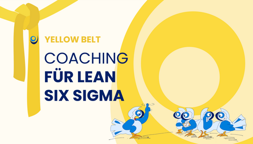 Coaching Für Lean Six Sigma​