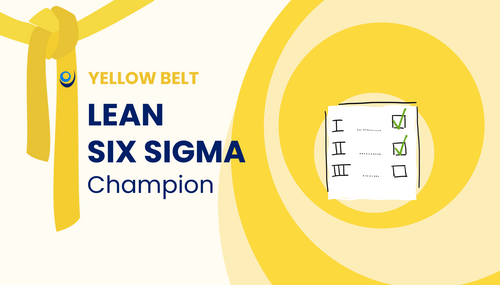 Lean Six Sigma Champion