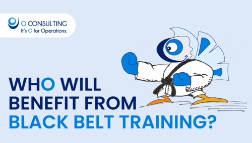 Who will benefit from Black Belt Training?